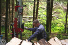 FFW Schwaningen beim Holz machen am 19. Mai 2018