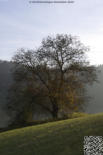 01. November - Herbst in Schwaningen
