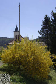 Frühling 2017 im Dorf Schwaningen