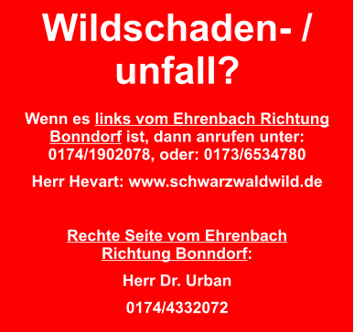 Wildschaden- / unfall?  Wenn es links vom Ehrenbach Richtung Bonndorf ist, dann anrufen unter: 0174/1902078, oder: 0173/6534780 Herr Hevart: www.schwarzwaldwild.de  Rechte Seite vom EhrenbachRichtung Bonndorf: Herr Dr. Urban 0174/4332072